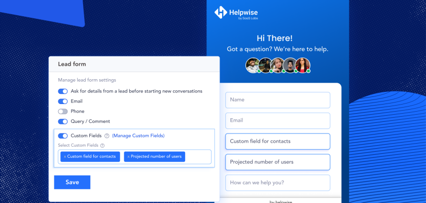 Image demonstrating custom fields in Live chat widget